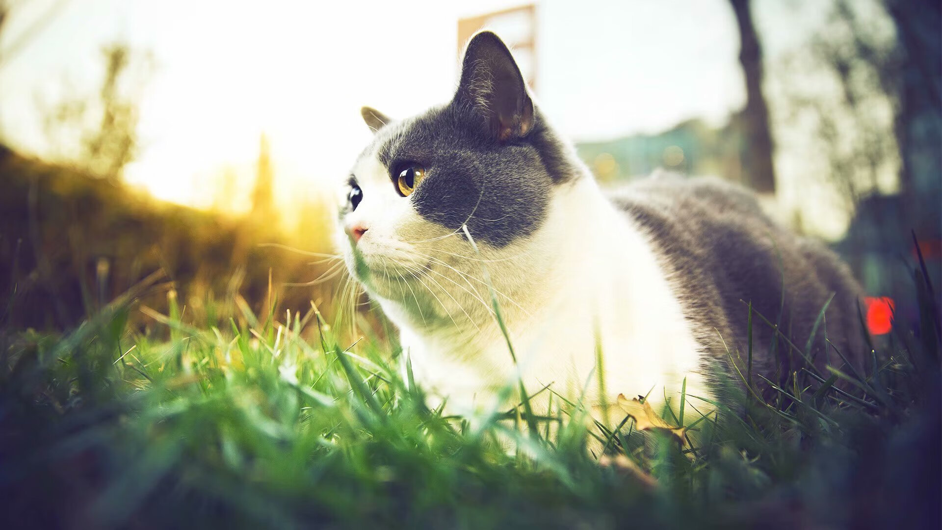 战况总结：球队表现亮眼或失误百出？，球队状态