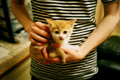 数字化青训管理系统全面铺开，提升青少年训练科学性，全国青少年数字化教育