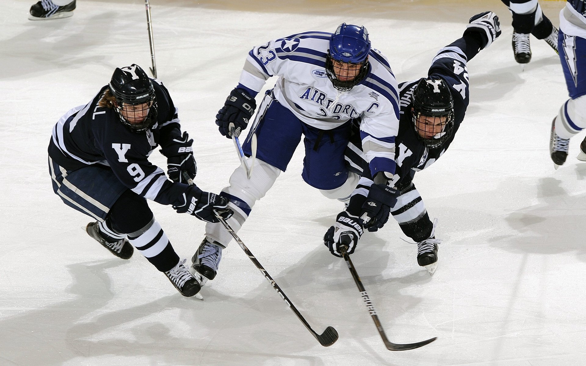 青训学院增设文化课程强化学生综合素养建设