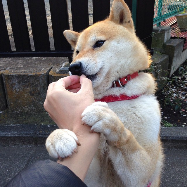 开云棋牌-“超越极限：冲破天气与地形的速度奇迹”，超越极限视频