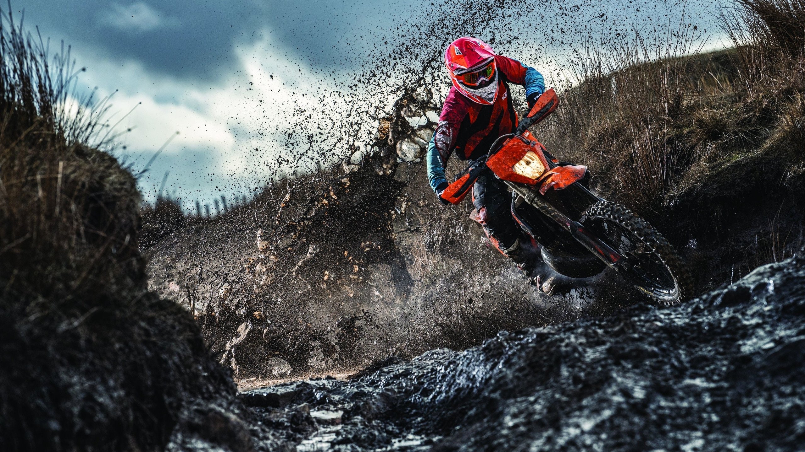 开云体育链接-南非仰泳新秀表现抢眼，京东寄个人快递便宜吗